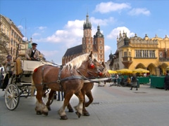 Paardenkoets te bewonderen tijdens stadswandeling